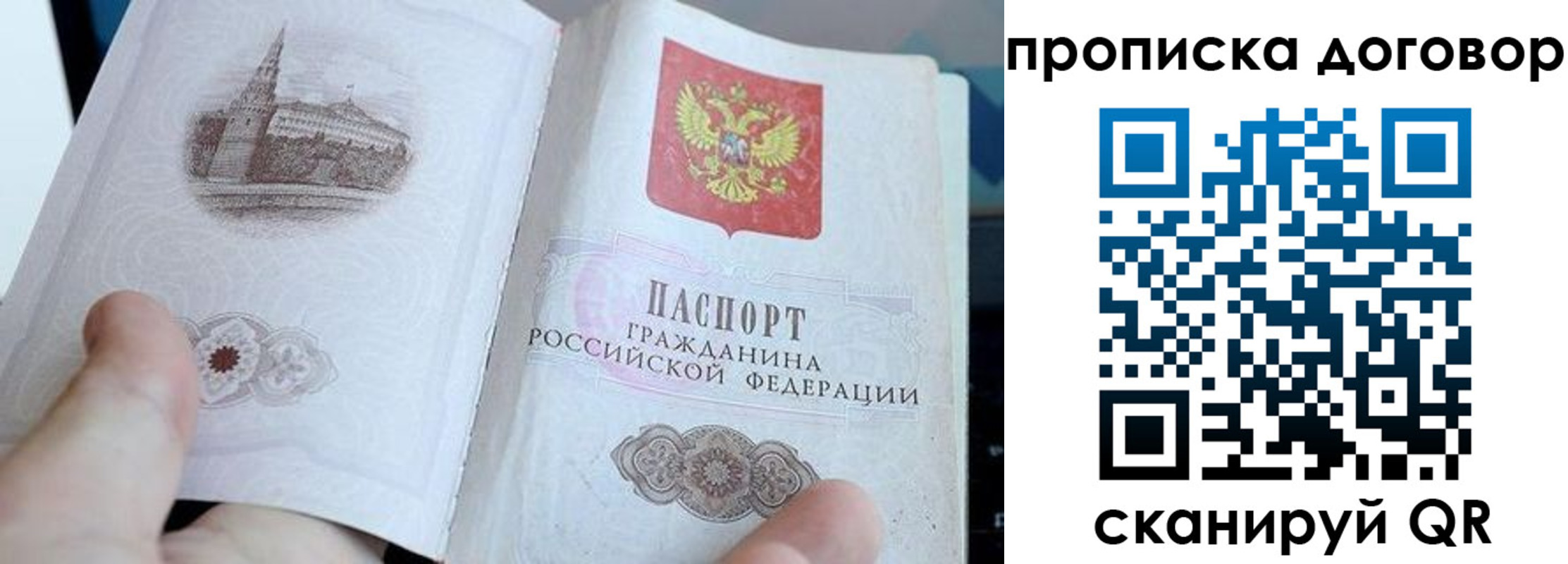 прописка законно в Новом Осколе